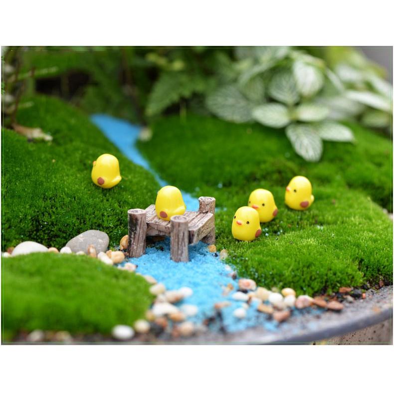 Tiểu cảnh mini ️ Gà vàng nhỏ H070 chơi trong vườn trang trí sen đá, sân vườn, bể cá, tiểu cảnh