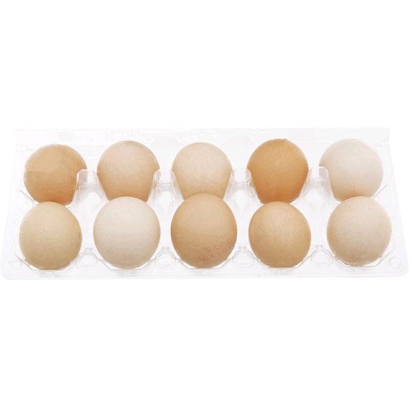 Combo 2 Hộp Trứng Gà Ta - 20 Trứng