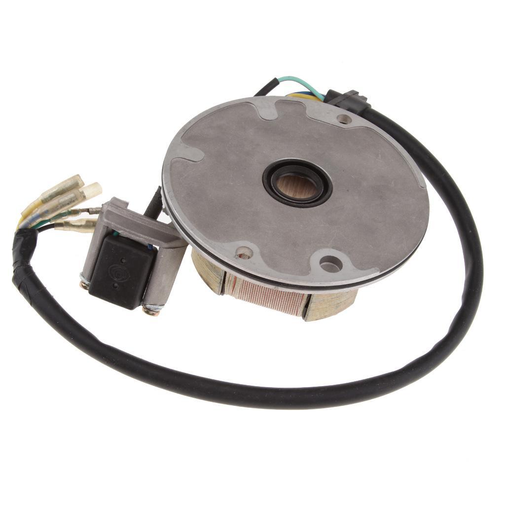 Ignition Stator Magnet Plate for Quad ATV Kart Bike 90cc 110cc 125cc 140cc