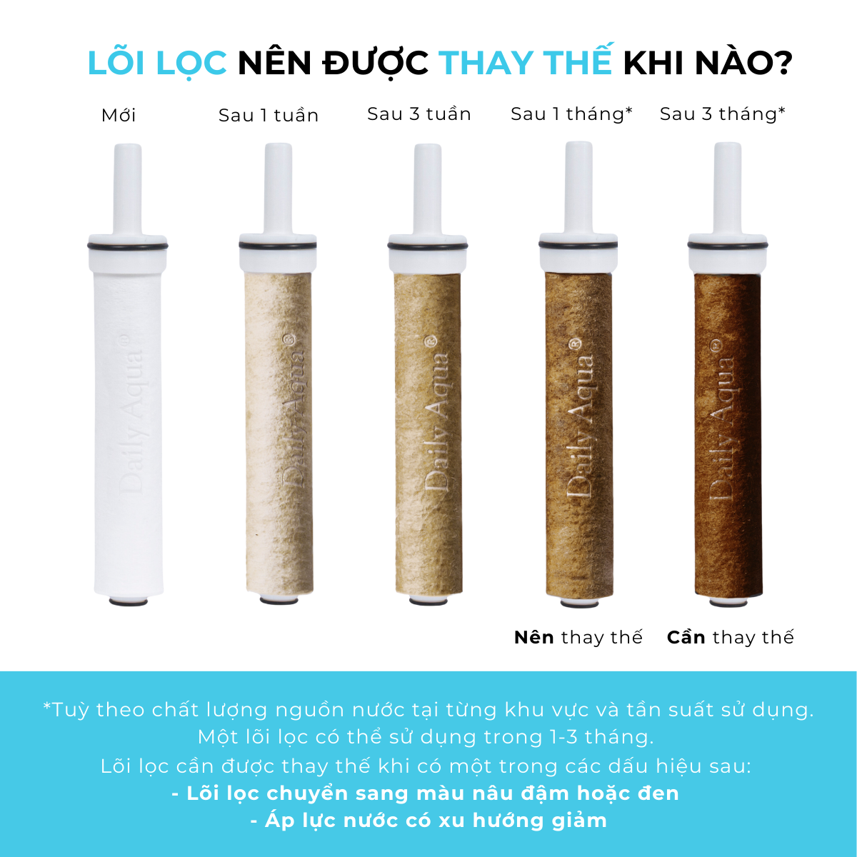 Bộ Lọc Nước Trọn Năm Cho Vòi Sen Daily Aqua Loại Bỏ Vi Khuẩn, Tạp Chất - Tiết Kiệm, An Toàn Tiện Lợi