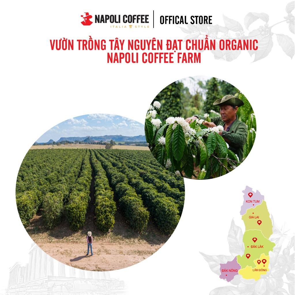 COMBO 3 Túi Lớn Cà Phê Socola Sữa Đá Napoly Coffee - Cafe Hoà Tan Cappuccino - Từ Arabica &amp; Robusta Hạt SẠCH (18 gói x 29g)