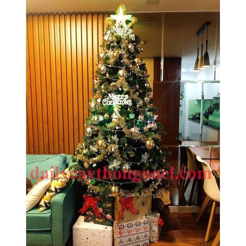 Cây thông noel màu xanh 1m2 - Cây đẹp tán dày