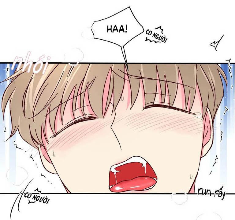 món tráng miệng của sếp tổng chapter 46 7