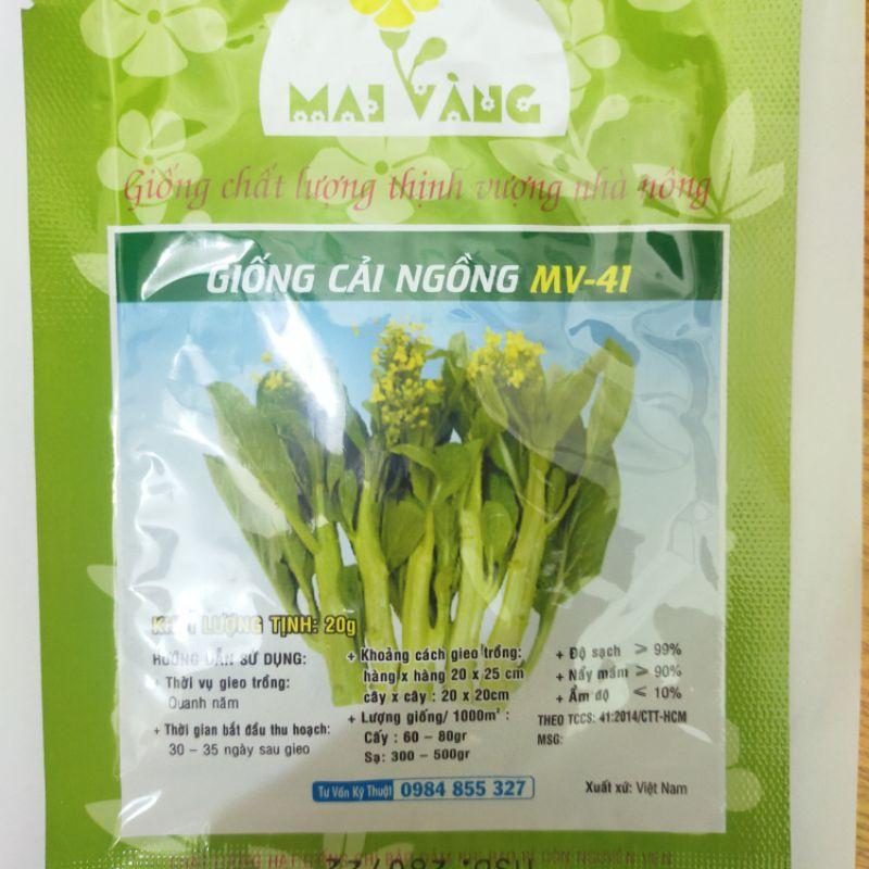 Combo hạt giống_6 loại hạt giống rau dễ trồng cho người mới bắt đầu tập tành trồng rau