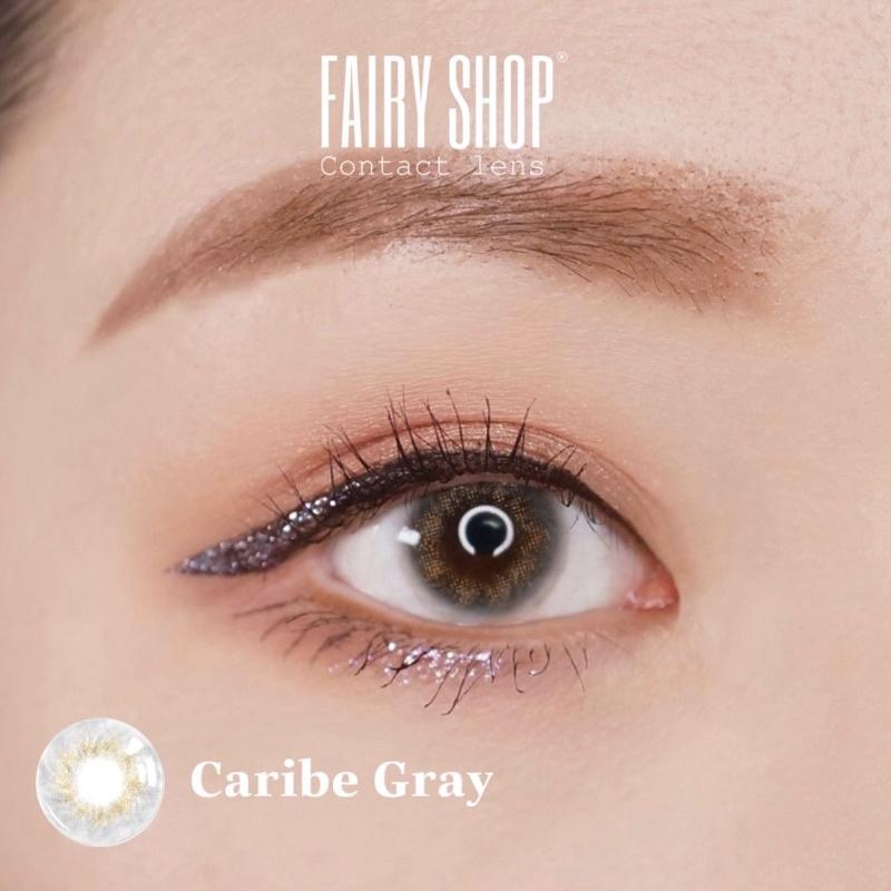 1 Chiếc Kính áp tròng Caribe Gray 14.0mm - FAIRY SHOP CONTACT LENS - độ 0 đến 8 silicone hydrogel Lens cho mắt thở