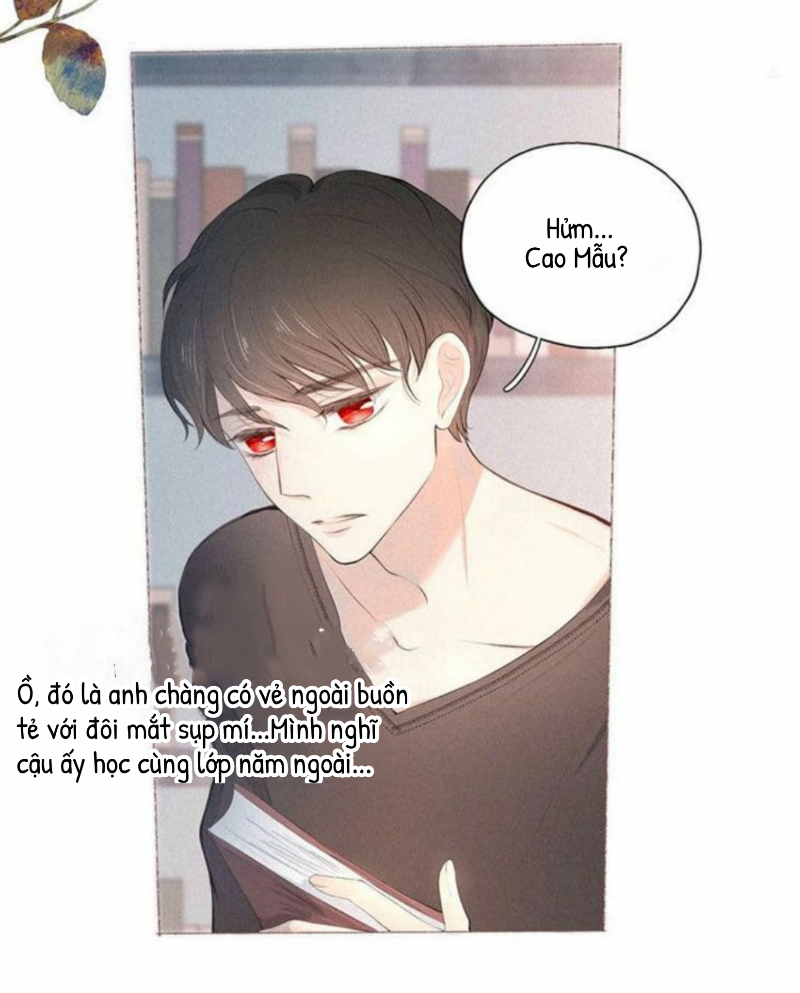 nỗi buồn của hoa cẩm tú cầu chapter 20 7