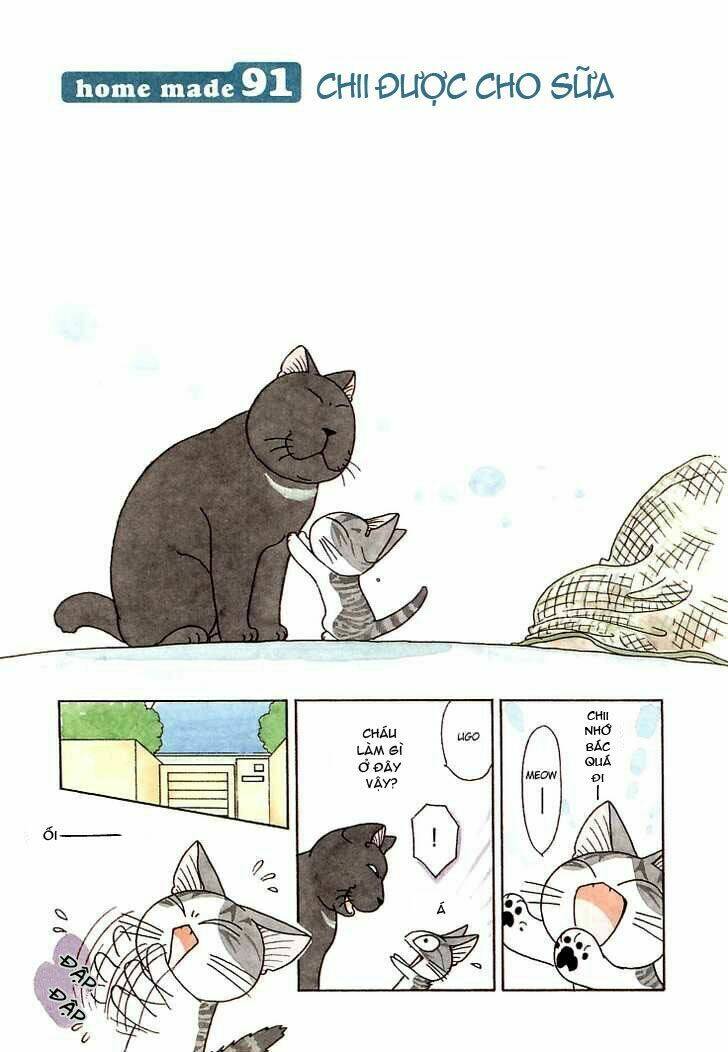 chi's sweet home chapter 91 1