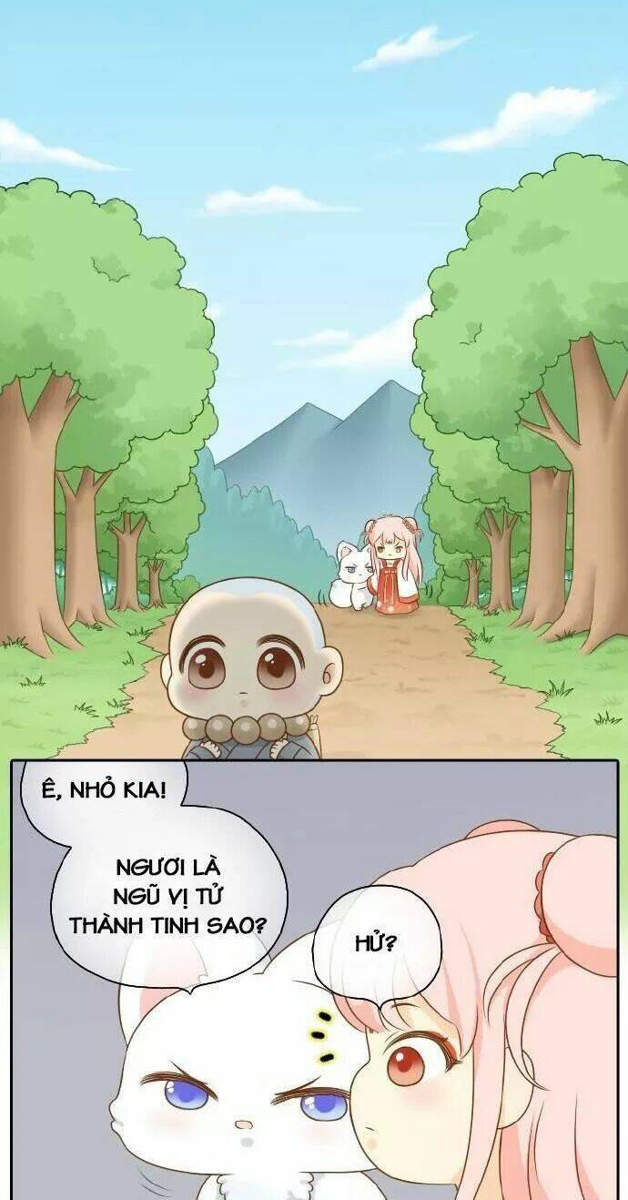 tiểu hồ ly vs tiểu hóa thượng chapter 49 8