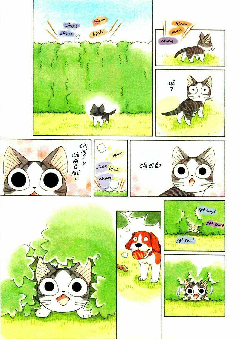 chi's sweet home chapter 69 8