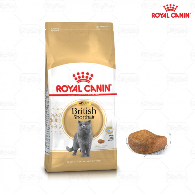 Thức ăn cho mèo ROYAL CANIN BRITISH SHORTHAIR ADULT