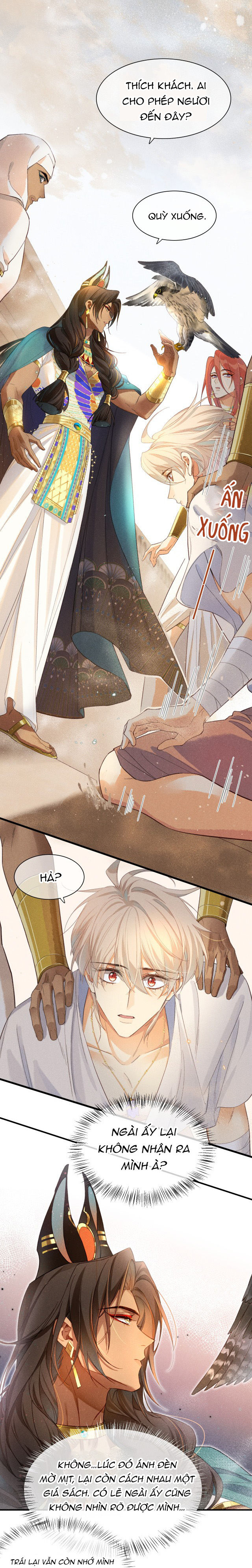 tạm biệt, quốc vương của tôi chapter 11 1