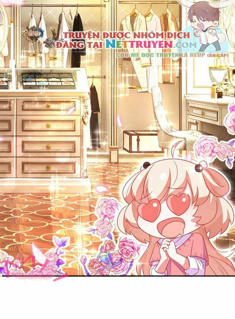 thiên thần gấu trúc muốn được ôm chapter 32 23