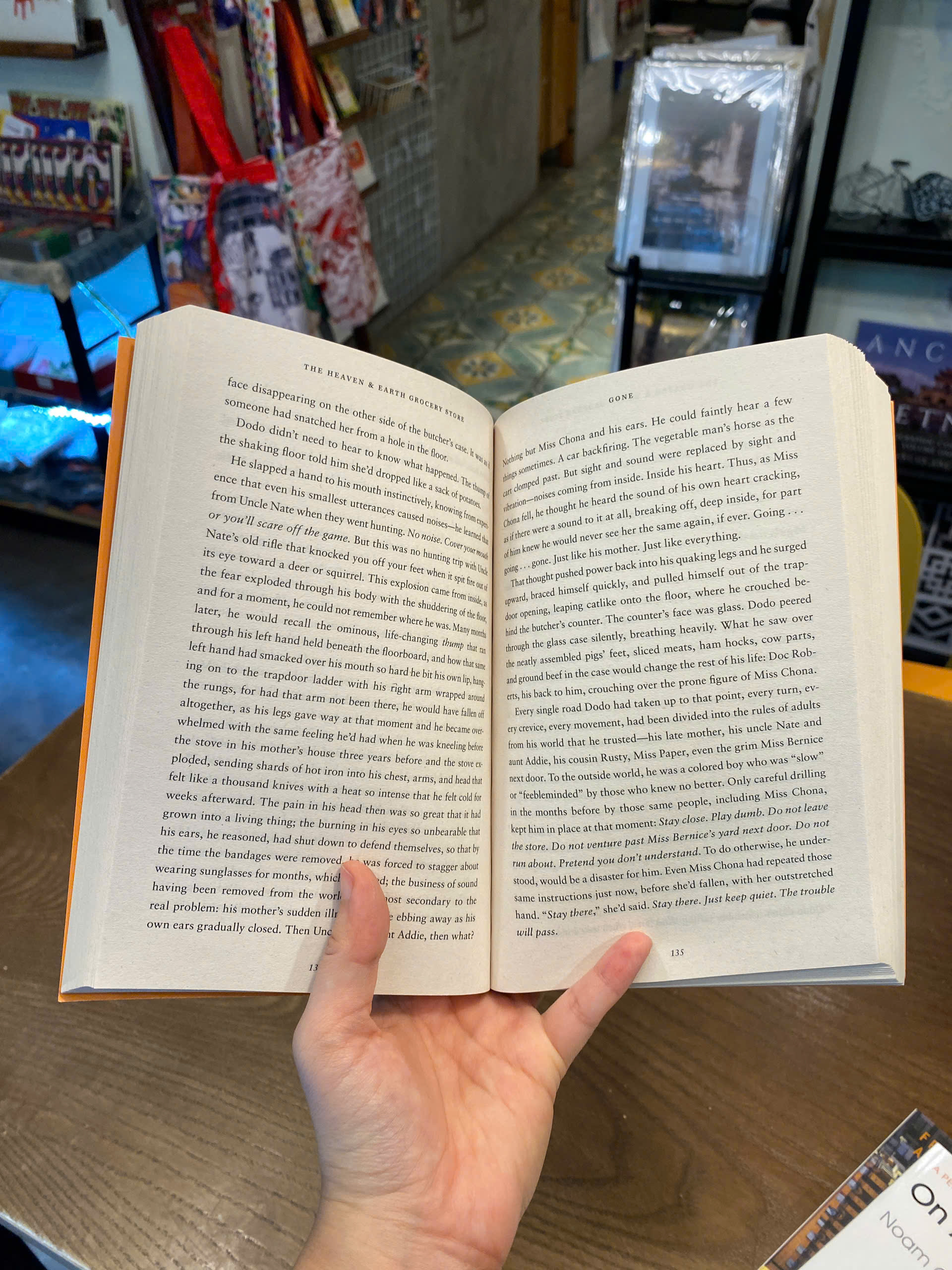 Sách - The Heaven & Earth Grocery Store by James McBride | English Historical Fiction