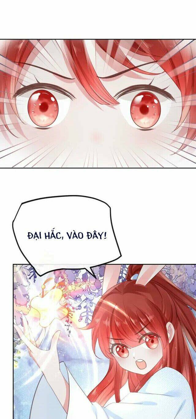 hắc hóa nam chính trực tuyến nuôi thỏ chapter 23 20