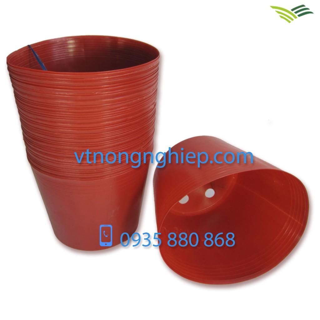 50 Chậu nhựa trồng hoa C10 màu đỏ