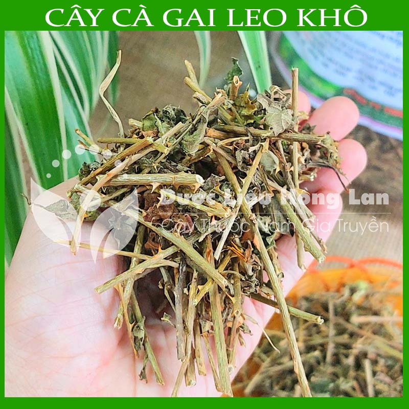 Cây CÀ GAI LEO khô sách đóng gói 1kg 