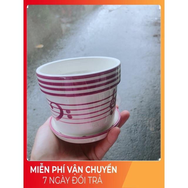 Châu Trồng Cây