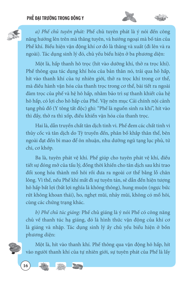 Sách Phế Đại Trường Trong Đông Y