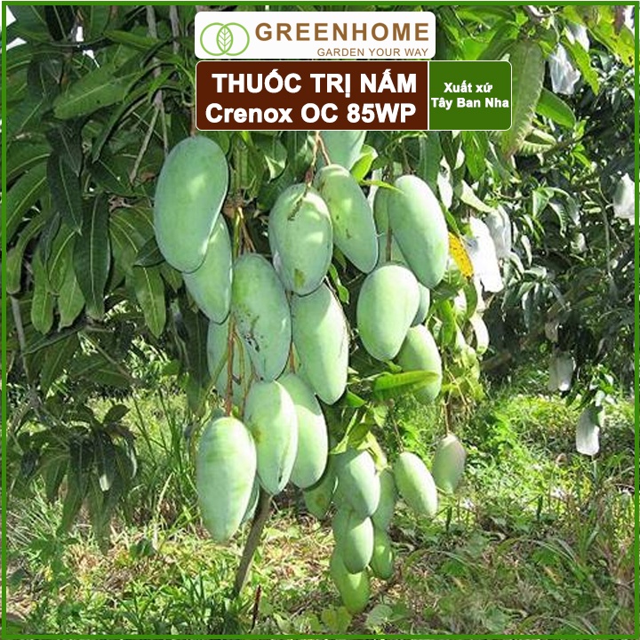 Thuốc Trị Nấm Cây Trồng Greenhome, Coc85 Wp, Gói 20gr, Trừ Đốm Lá Cho Hoa Hồng, Nấm Trên Kiểng Lá, Cây Cảnh, Cây Ăn Quả