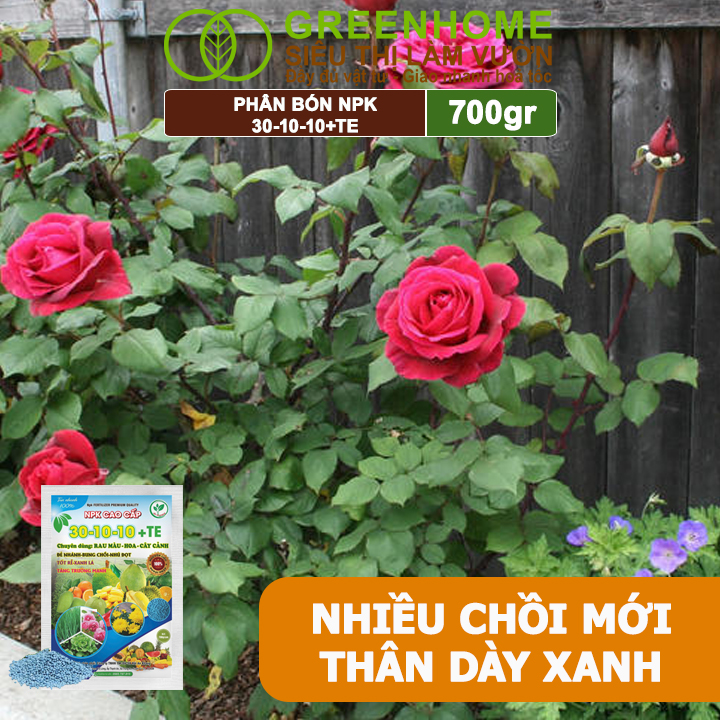 Phân Bón NPK 30-10-10+TE, Greenhome, Gói 700Gr, Giúp Cây Đẻ Nhánh, Bung Chồi, Nhú Đọt, Tốt Rễ
