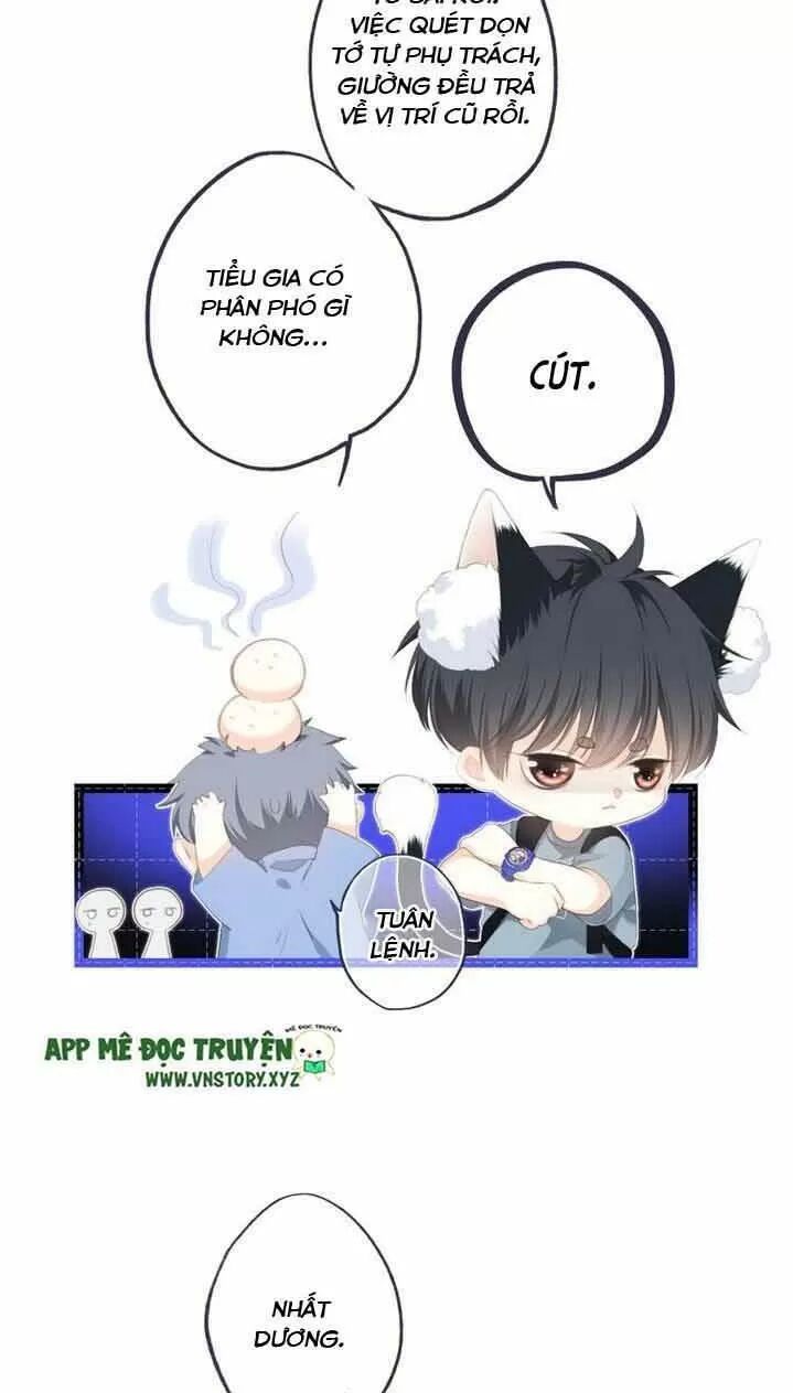 con tim rung động 2 chapter 117.2 20