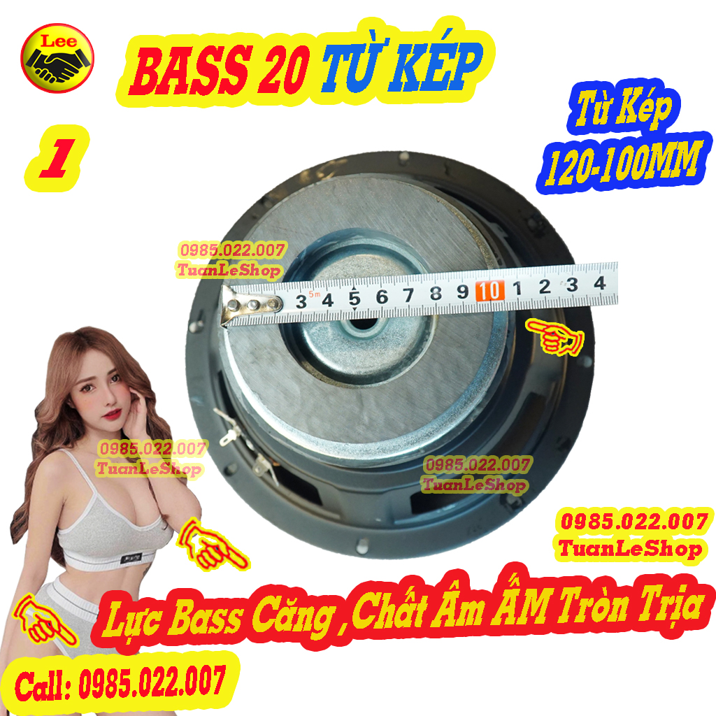 MỘT CỦ LOA BASS 20 TỪ KÉP 120 -100 - LOA BASS RỜI