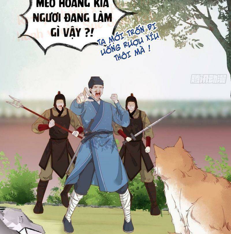 sát thủ vương phi không dễ chọc chapter 37 23