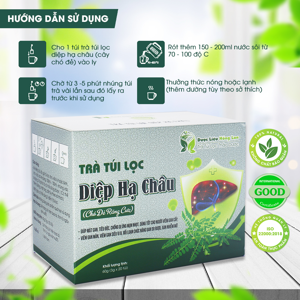 Trà Túi Lọc Diệp Hạ Châu (chó đẻ răng cưa) 60g (20gói x 3g) Dược Liệu Hồng Lan