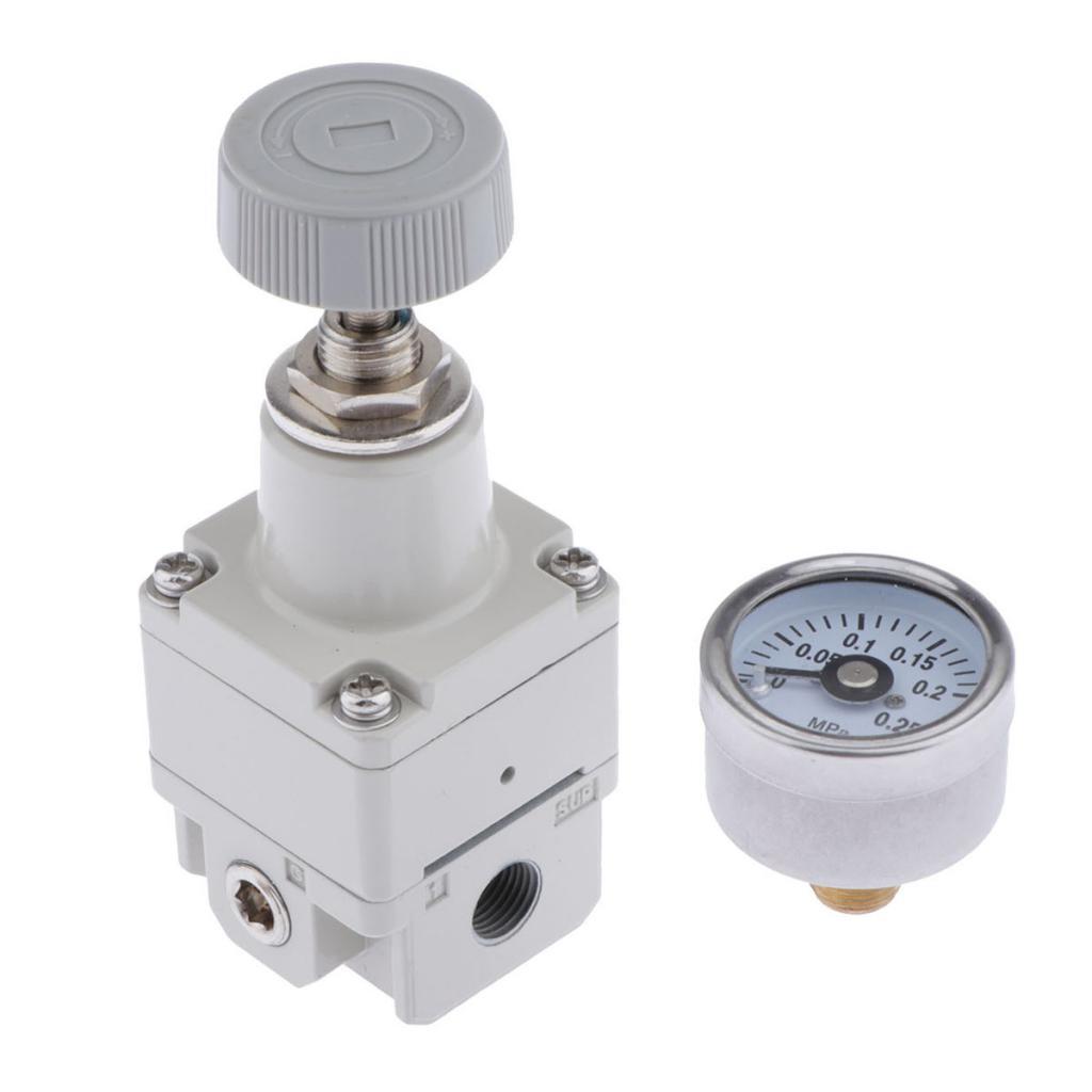 IR1000-01 1/8" Precision Air Pressure Regulating Relief Valve with Gauge