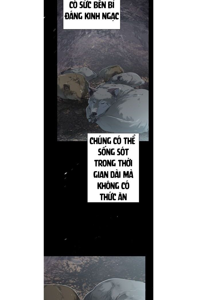 cậu bé người sói chapter 0 6