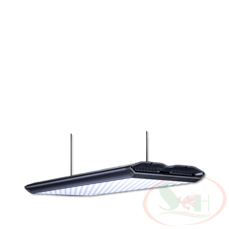 Đèn led LedStar AQ WRGB X series X60 quang phổ trồng cây bể thủy sinh cá tép