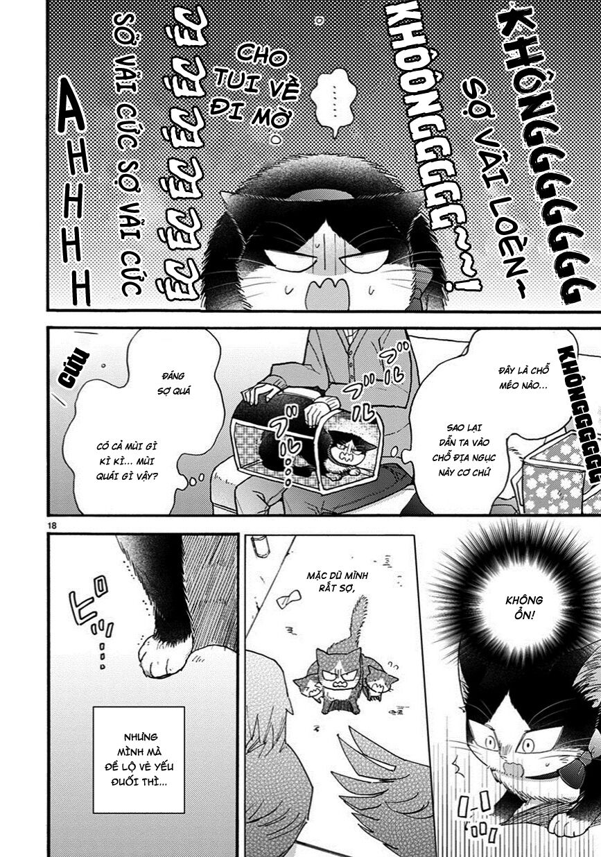 doukyonin wa hiza, tokidoki, atama no ue chapter 7.5 2