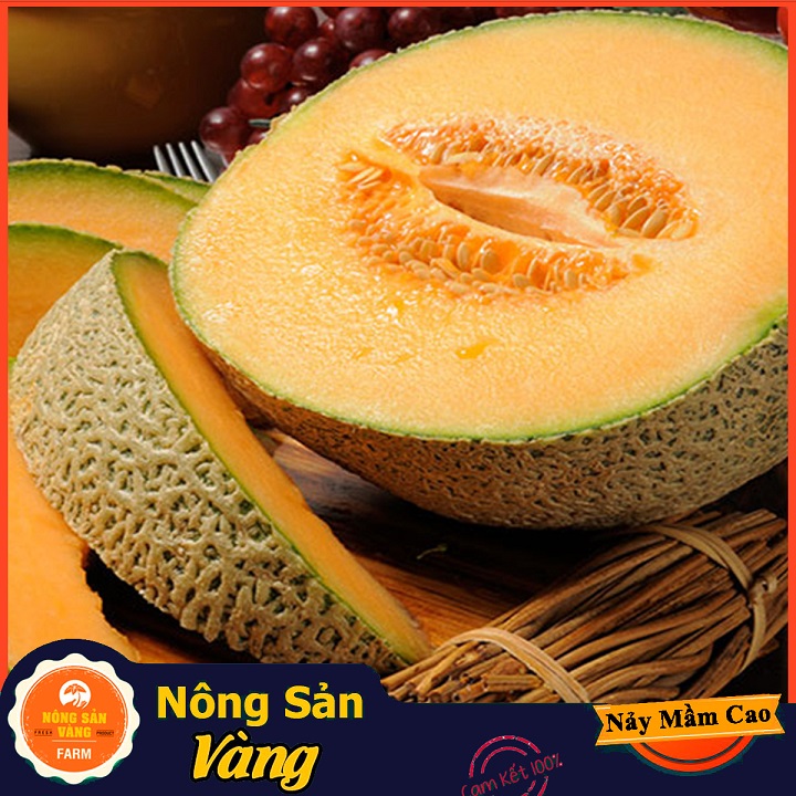Hạt giống Dưa Lưới Ruột Vàng - Nông Sản Vàng