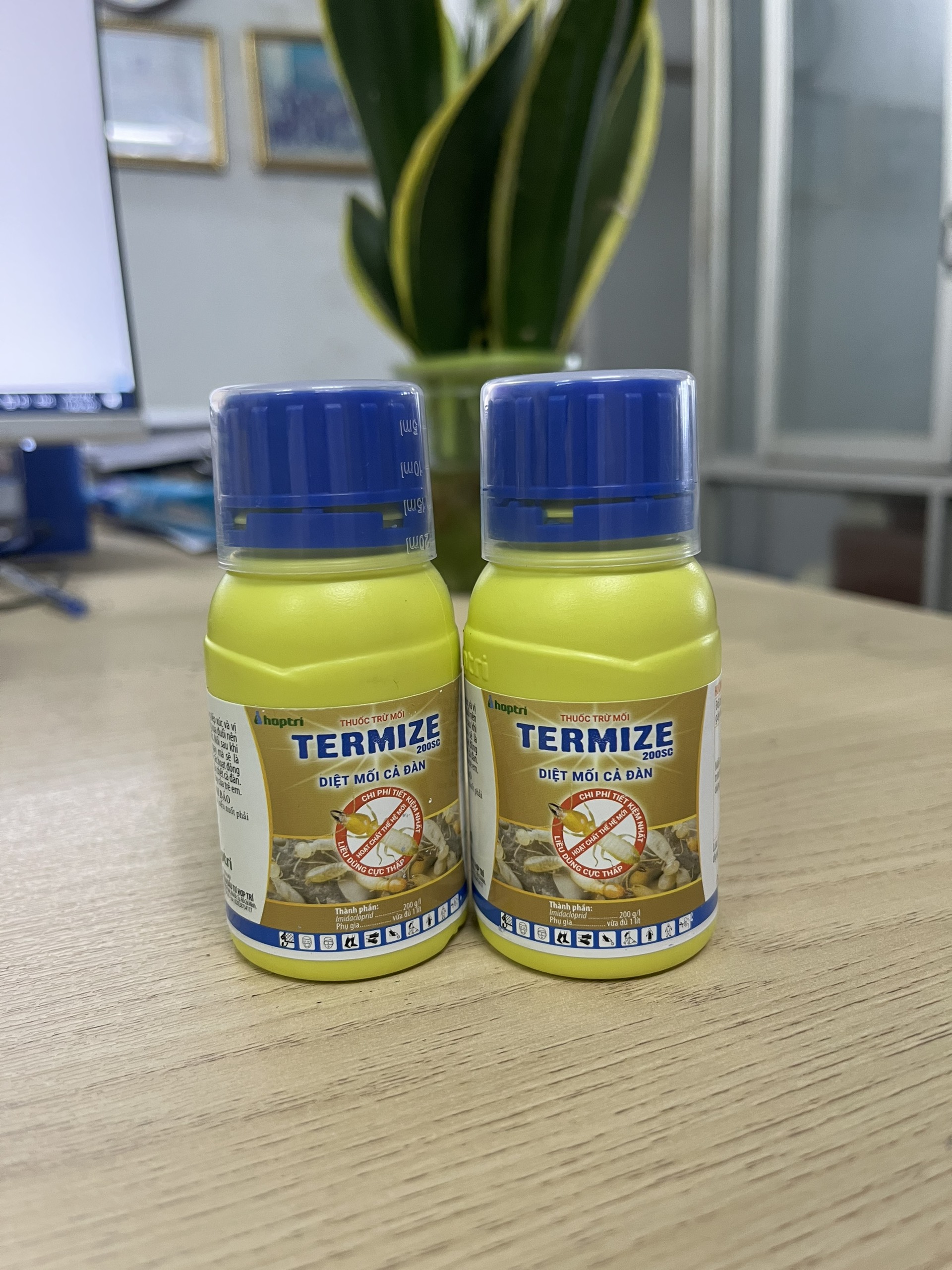 Combo 3 chai thuốc diệt mối thế hệ mới Termize 200SC diệt cả đàn (50ml)