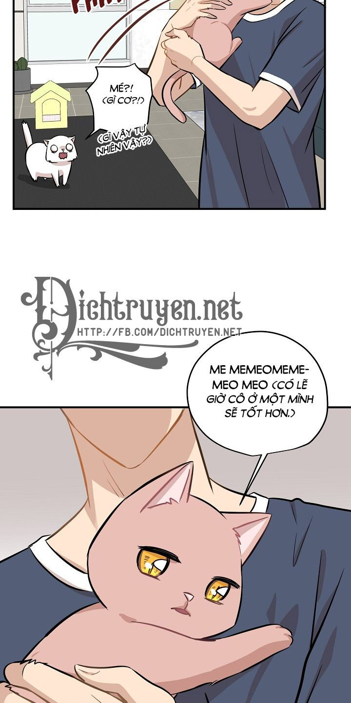 cuộc sống kỳ thú chapter 44 25