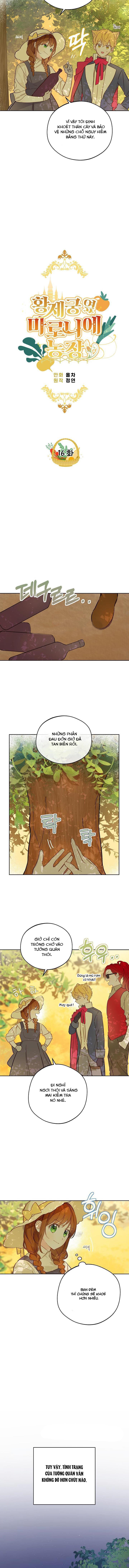 nông trại nằm cạnh hoàng cung chapter 16 4