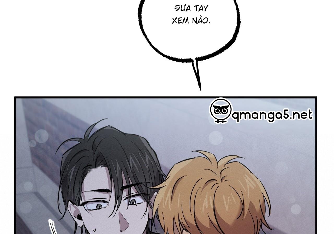 những chú thỏ của hapypy chapter 60 191