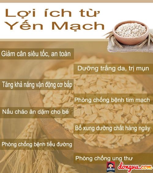 Yến Mạch Cán Mỏng Roll Oats 1 Ký