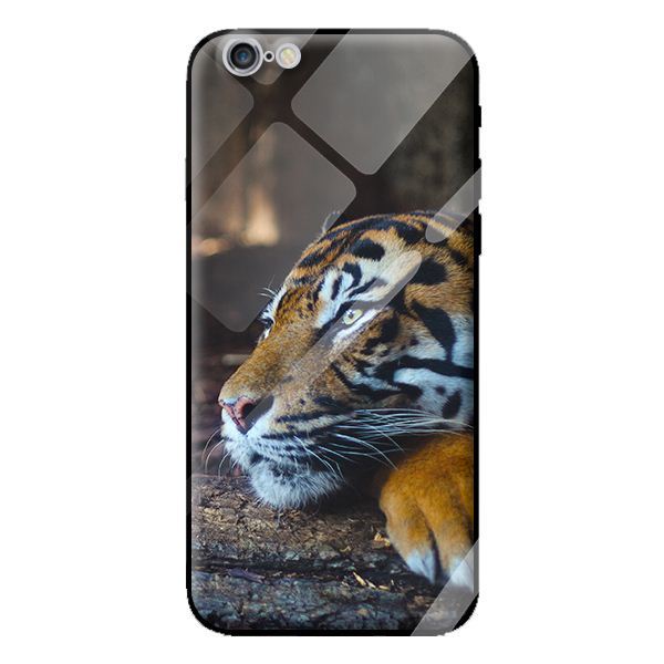 Ốp kính cường lực cho iPhone 6s Plus mèo 27 - Hàng chính hãng
