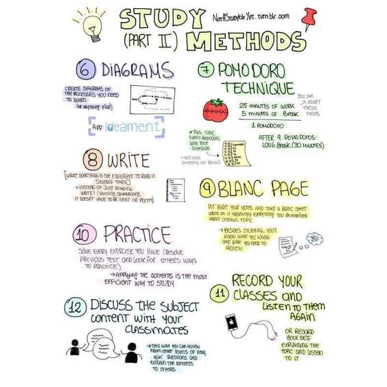 Sách Combo Sketchnote  - Alphabooks - BẢN QUYỀN