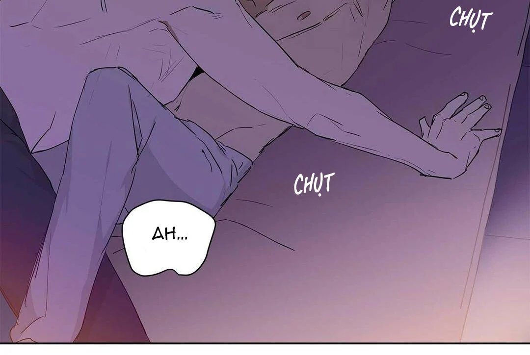 guide cấp b chapter 20 134