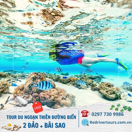 VOUCHER TOUR TÀU 2 ĐẢO + OCEAN WORLD