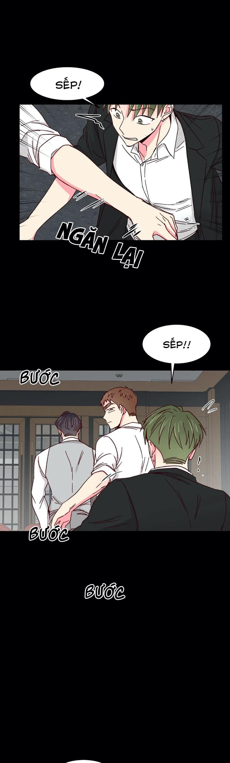 món tráng miệng của sếp tổng chapter 43 23