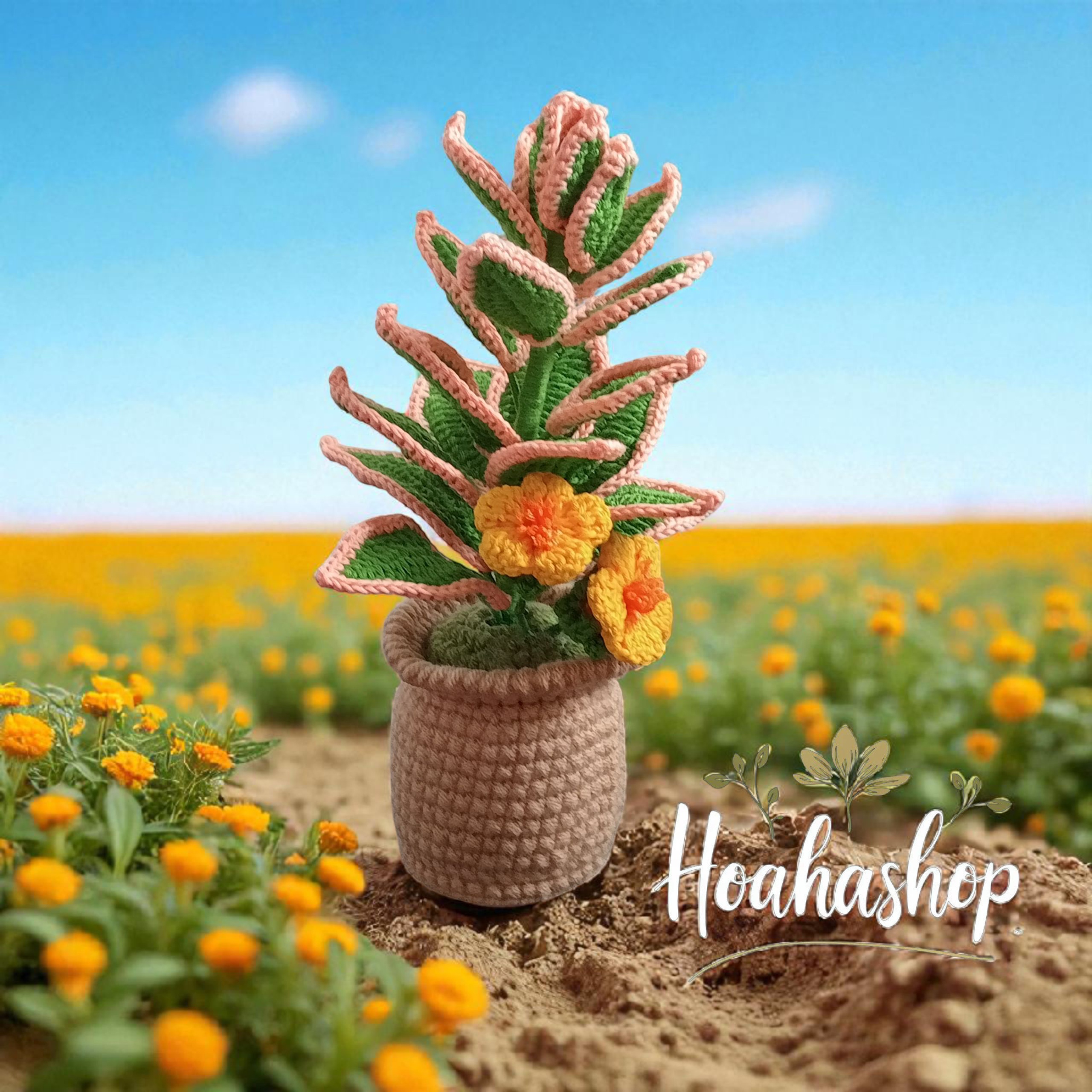 Chậu cây mini handmade – Điểm nhấn xinh xắn cho góc nhỏ của bạn