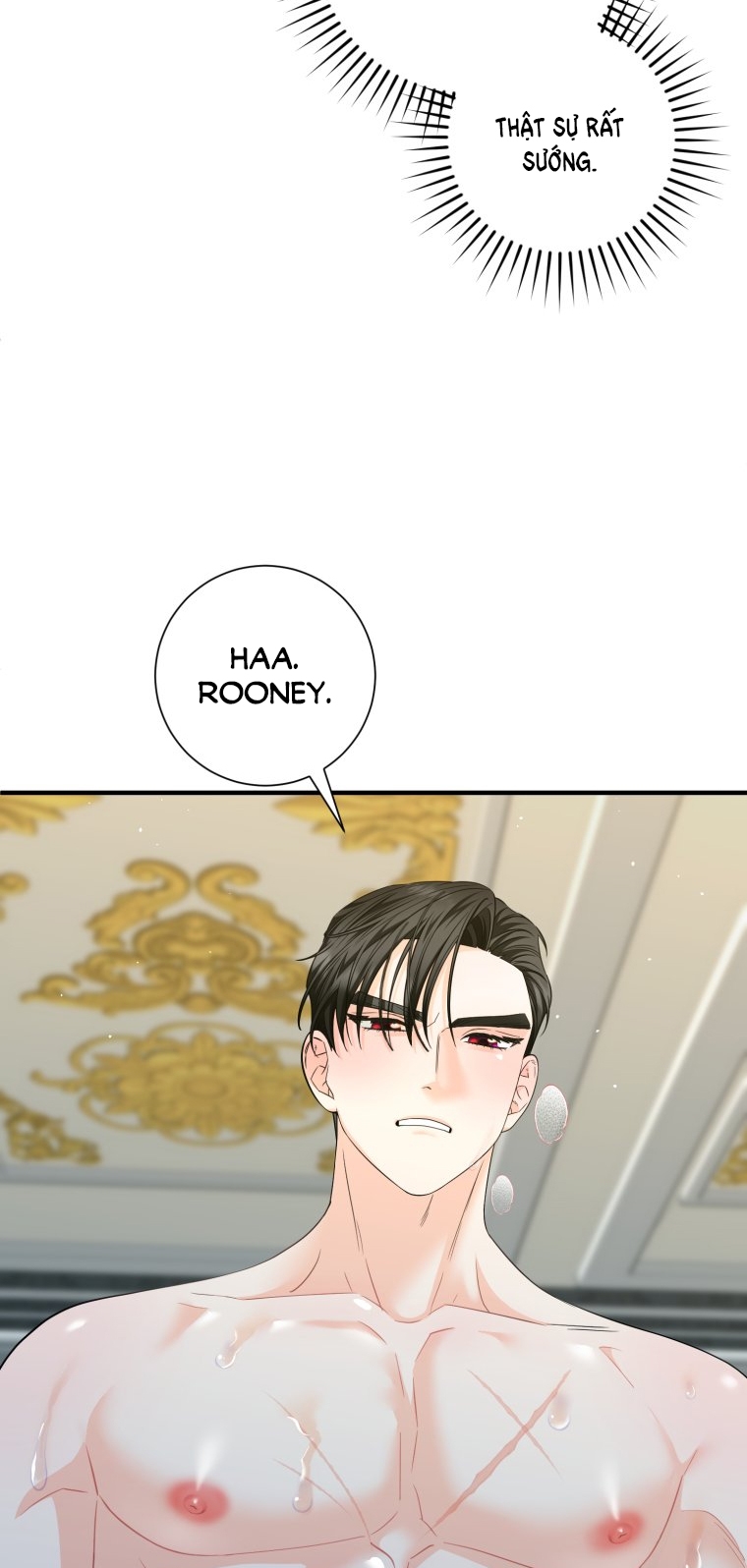 [18+] tôi đã kết hôn với kẻ thù giết cha mẹ chapter 16.2 22