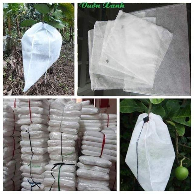 Túi bọc bưởi com bo 200 túi kt 30x35cm