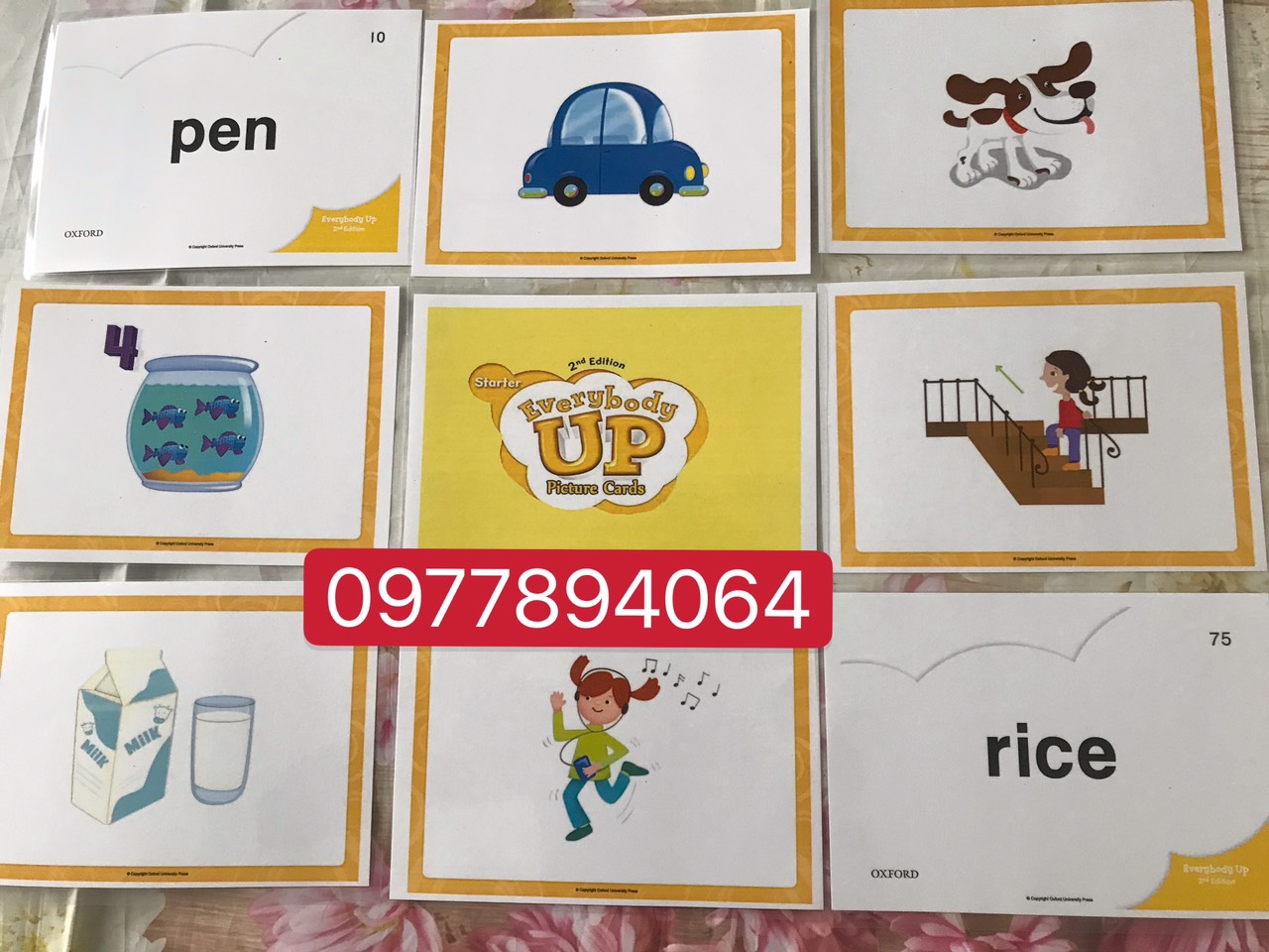 Flashcard Tiếng Anh cho giáo trình Everybody up starter