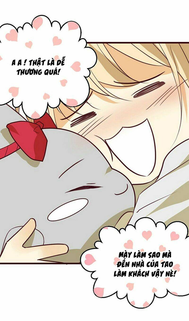 hoa đào nhẹ rơi đẹp như em chapter 4 37