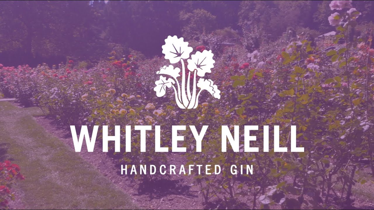 Rượu Whitley Neill Handcrafted Rhubarb & Ginger Gin 43%  - Không hộp