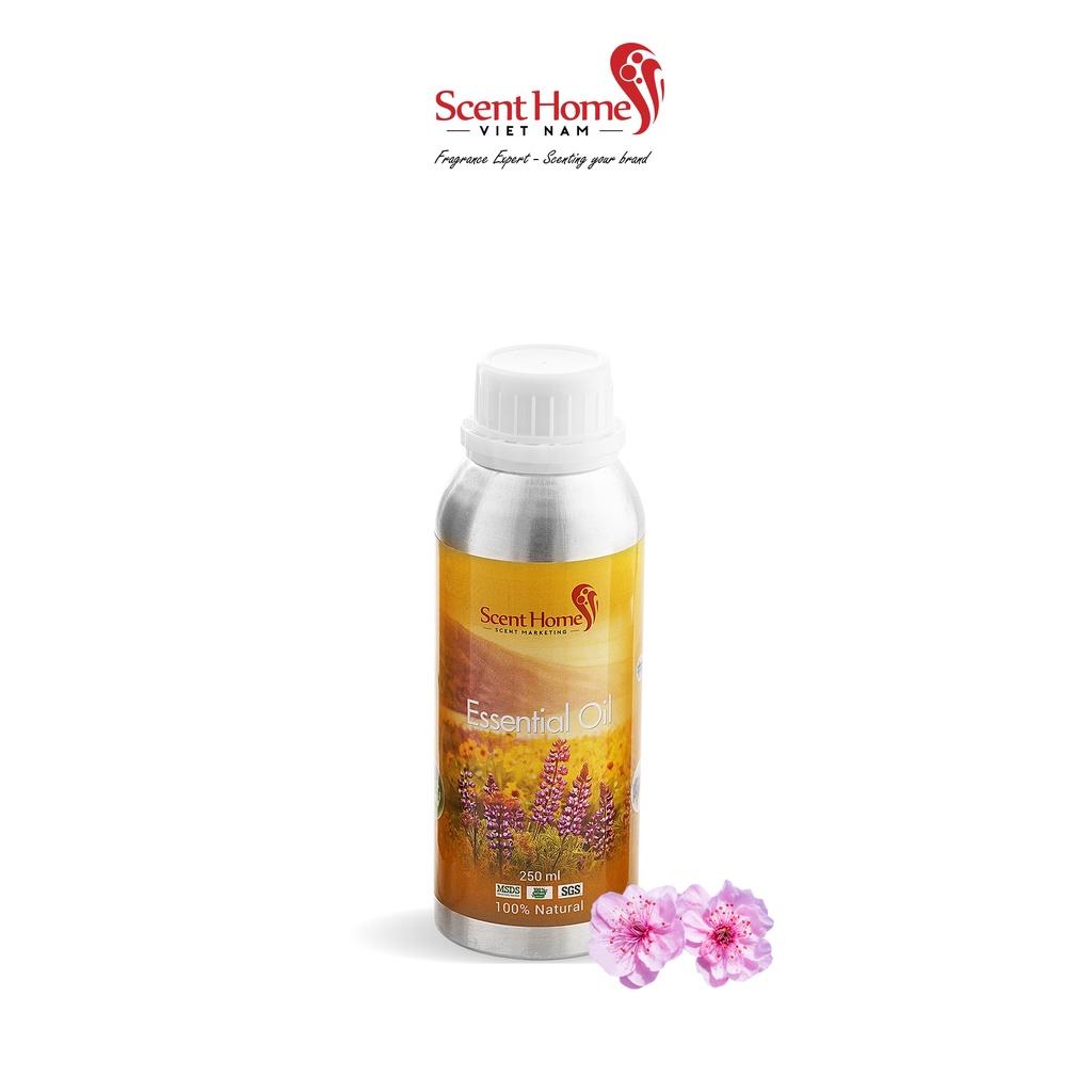 Tinh dầu Scent Homes - mùi hương